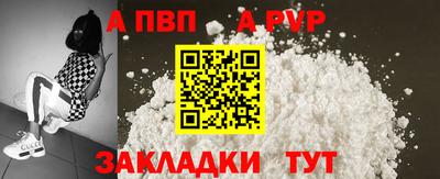 стаф Донской