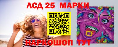 стаф Донской