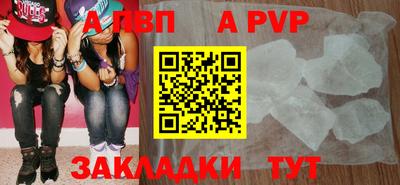 стаф Донской