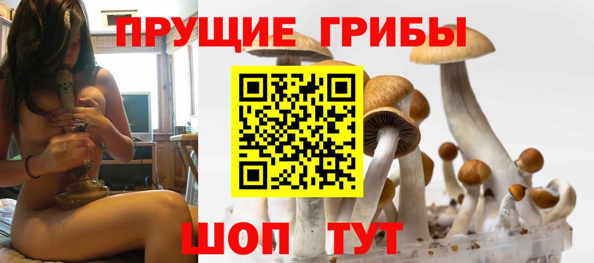 Псилоцибиновые грибы мицелий  Псилоцибиновые грибы Cubensis  Малоярославец  Вход с VPN 