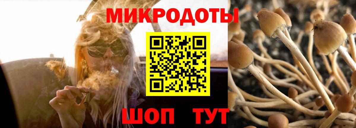 Псилоцибиновые грибы Magic Shrooms Малоярославец